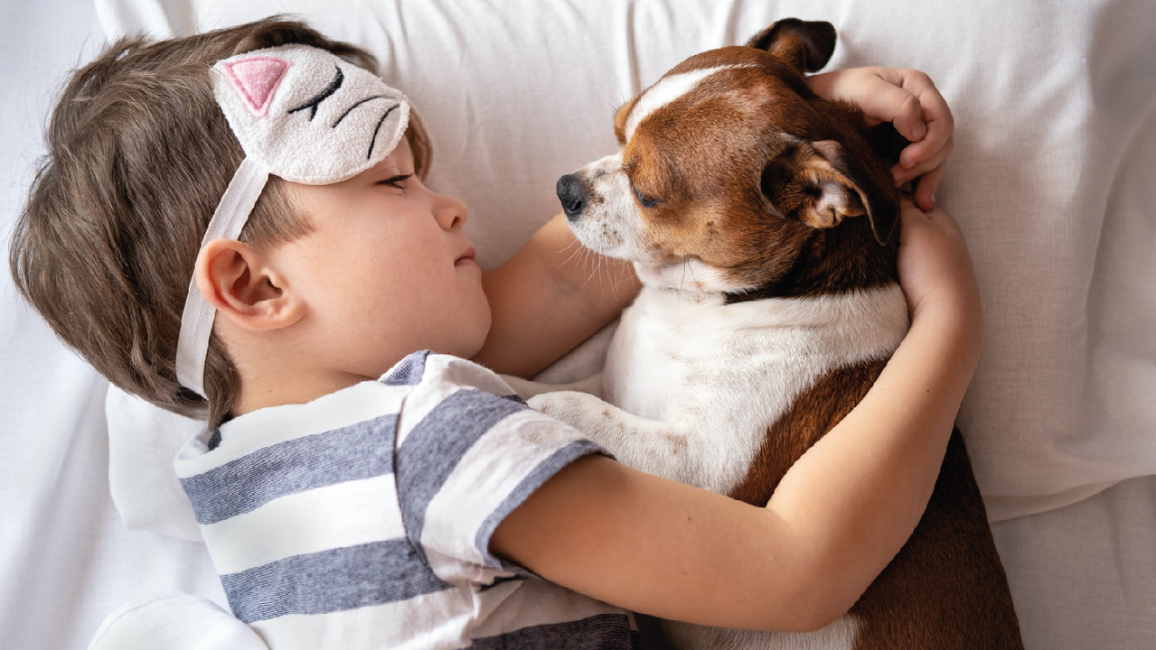 Присутствие домашних питомцев в постели значительно улучшает качество сна ребенка — новости медицины