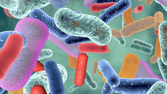 Как микробы управляют нашей энергией — новости медицины