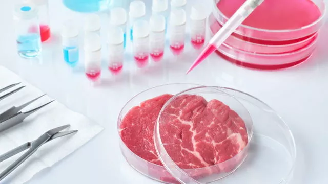 Ученые ставят под сомнение заявления о пользе заменителей мяса — новости медицины